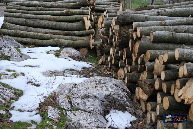 prime spruzzate di neve.JPG
